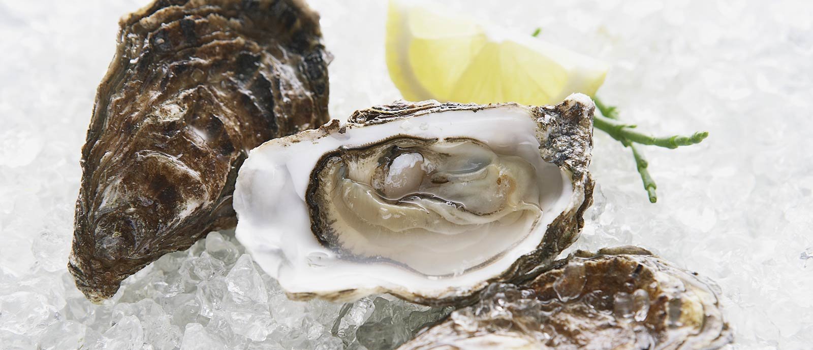 seafood at Bistecca Restaurant Mount Airy