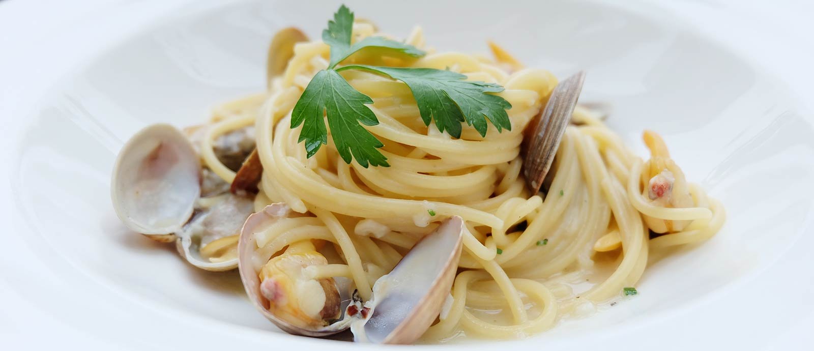 Handmade pastas at Bistecca Restaurant Mount Airy